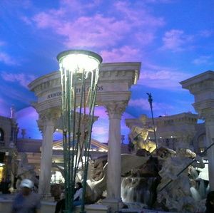 Meet your Posher, Joy